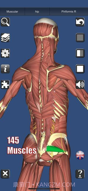 3D解剖截图5