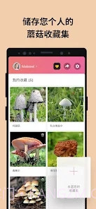 Picture Mushroom蘑菇识别扫一扫截图5