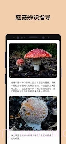Picture Mushroom蘑菇识别扫一扫截图3