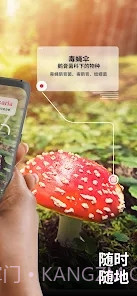 Picture Mushroom蘑菇识别扫一扫截图4
