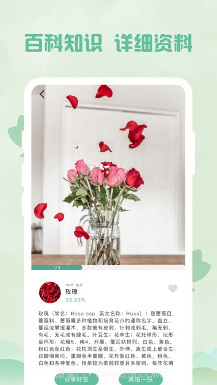 识别全能王截图2