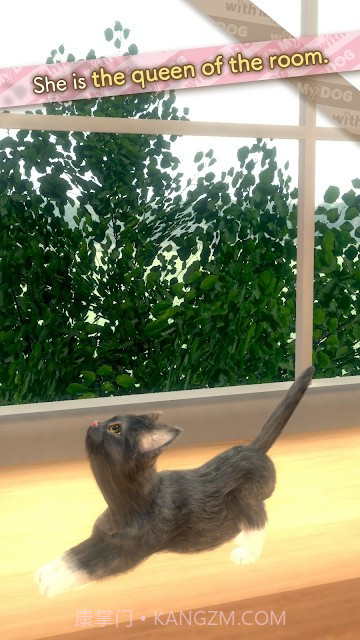 与我的猫咪截图1