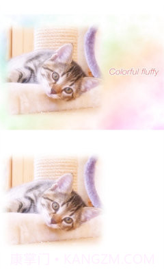 WataameCamera最新版截图3