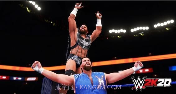 摔跤模拟器截图1