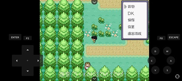 口袋妖怪燃之智截图1