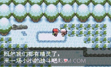 口袋妖怪最强进化截图1