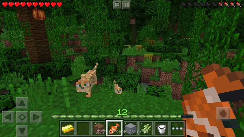 我的世界1.11.0.10基岩版截图2